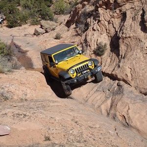 Meet your Posher, Norman